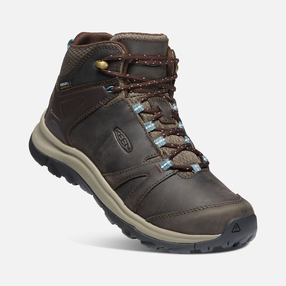 Bottes de Randonnée Keen Femme Marron | Terradora Ii Cuir Waterproof | MIQDG-8312